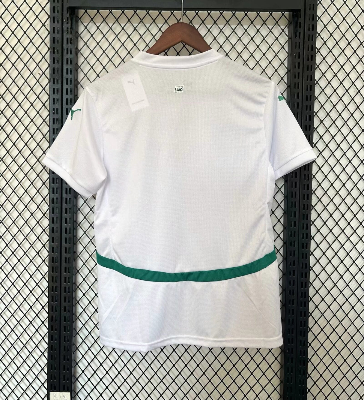 Senegal World Cup 2026