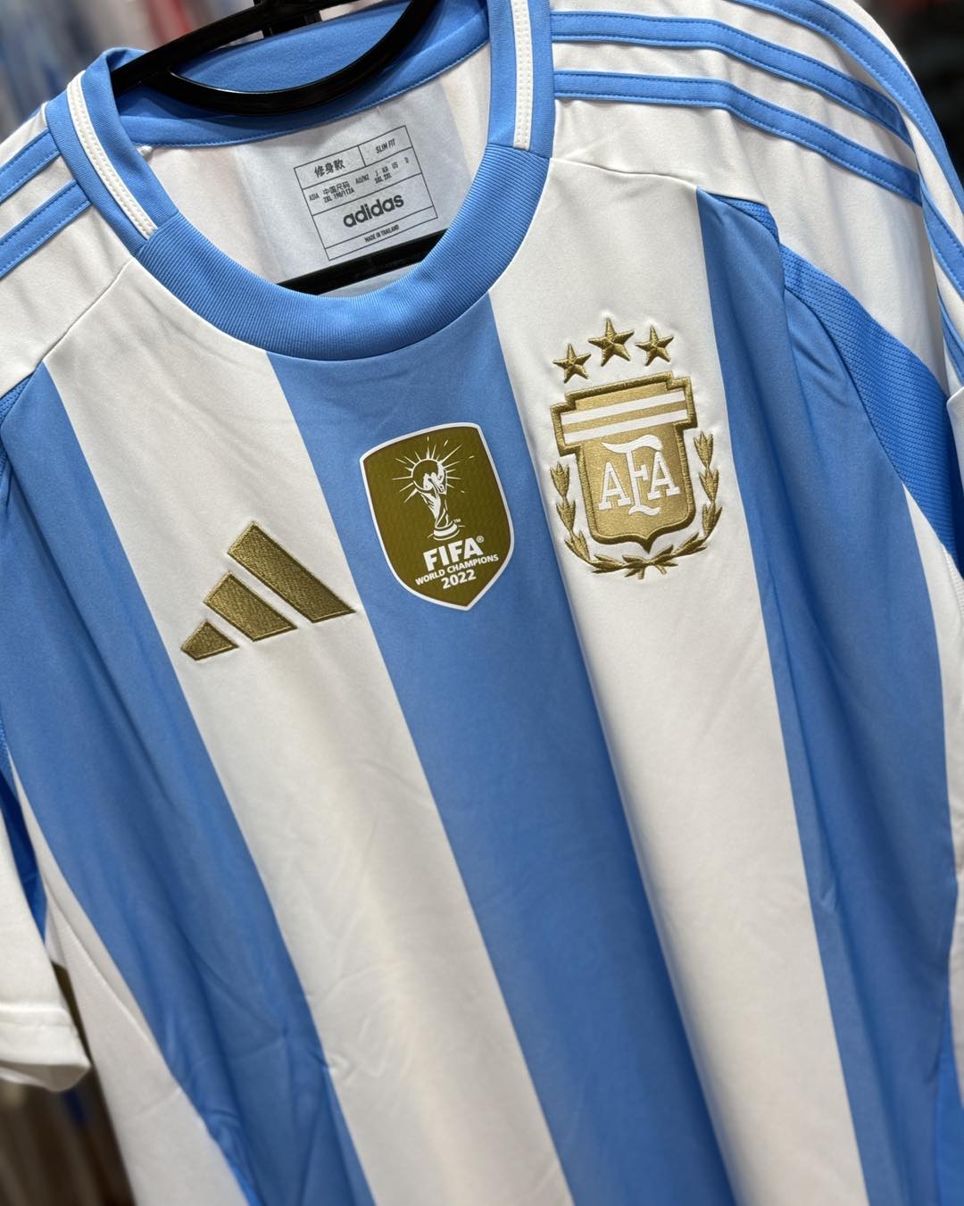ARGENTINE DOMICILE 2024-25