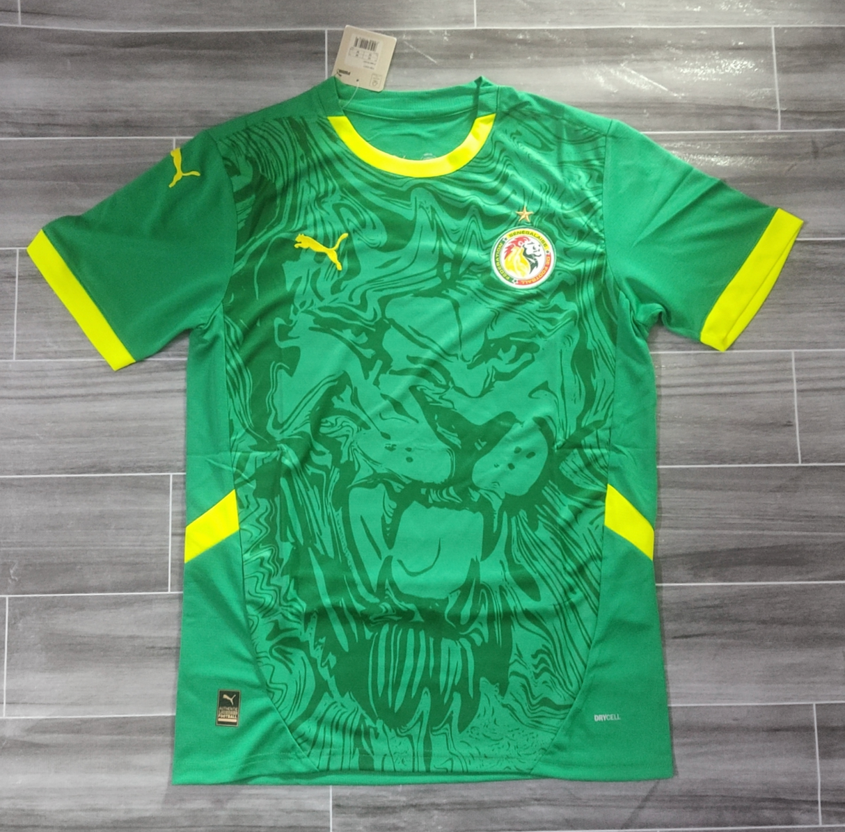 SENEGAL SHIRT 2025-26
