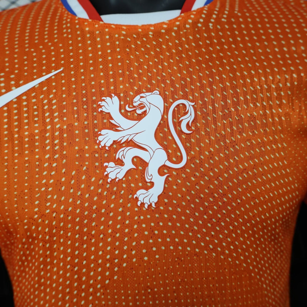 Netherland World Cup 2026