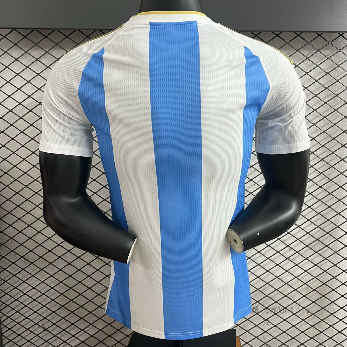 Argentine Coupe du Monde 2026