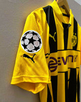 LEWANDOWSKI ROBERT 2012-13 (Bor D) 