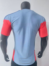 Japan World Cup 2026