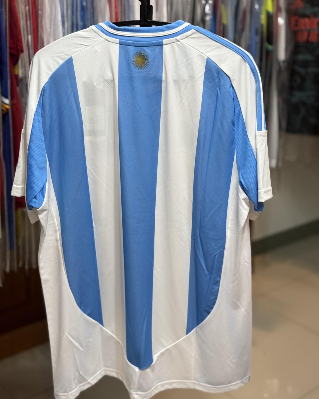 ARGENTINE DOMICILE 2024-25