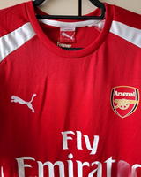 ÖZIL MESUT 2014-15 (Ars) 
