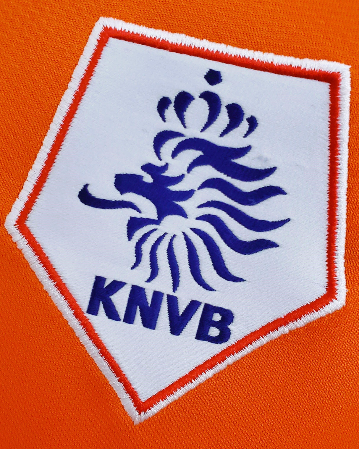 VAN PERSIE ROBIN 2008-09 (Ola) 