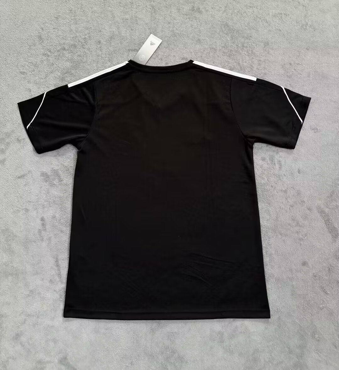 Venezuela World Cup 2026