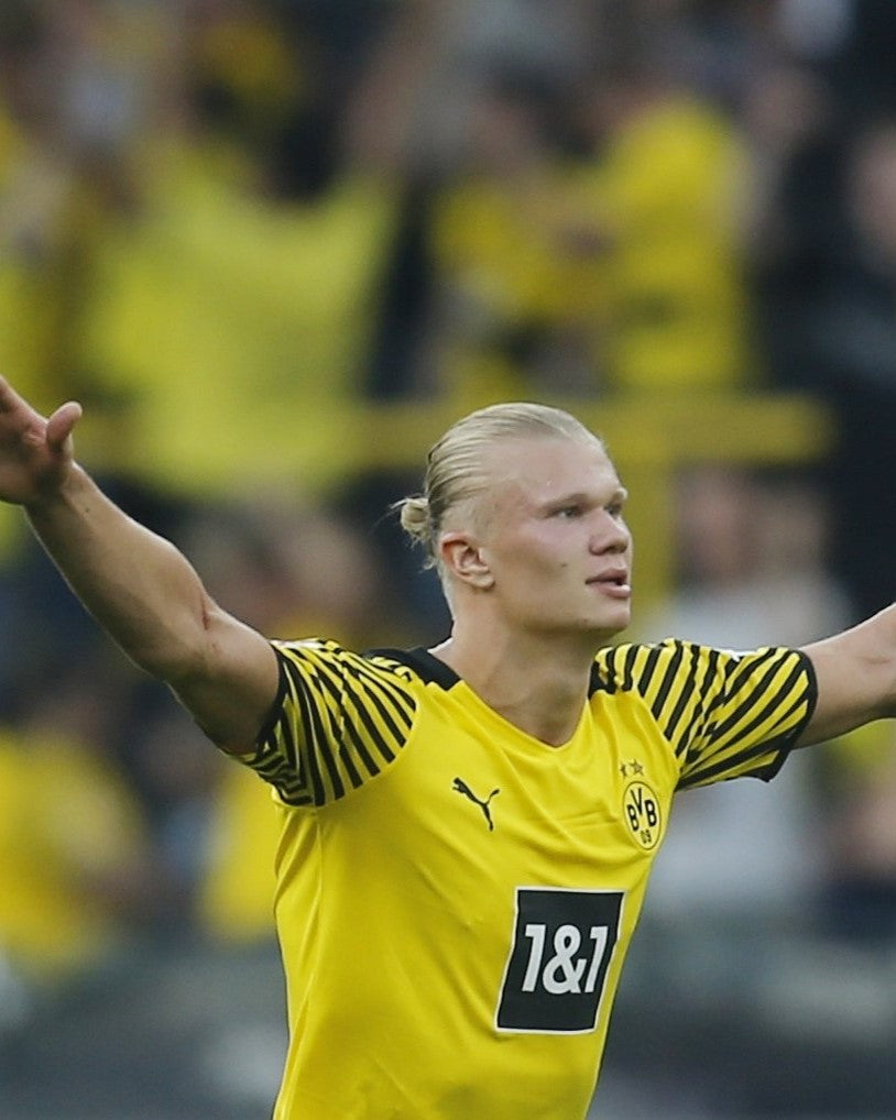HAALAND ERLING 2021-22 (Lives D) 