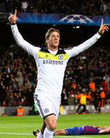TORRES FERNANDO 2011-12 (Lequel) 