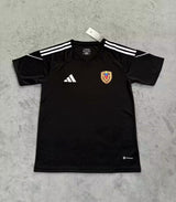 Venezuela World Cup 2026